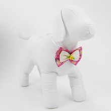 Borboleta pra Cachorro 